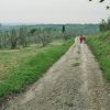 Toscana 27.4.-5.5.2012